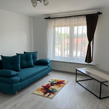 Casa Rafael Hotell Sighetu Marmaţiei Eksteriør bilde